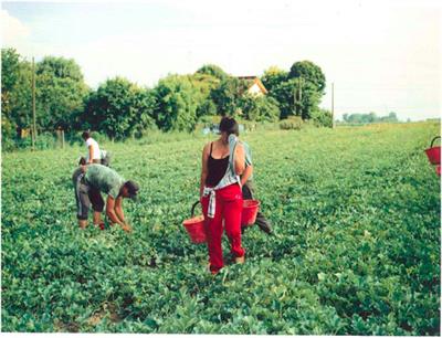 Against Single Stories of ‘Left Behind’ and ‘Triple Win’: On Agricultural Care Chains and the Permanent Subsistence Crisis